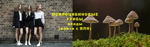 прущие крисы Алзамай