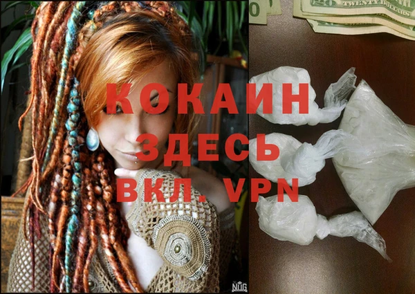 прущие крисы Алзамай
