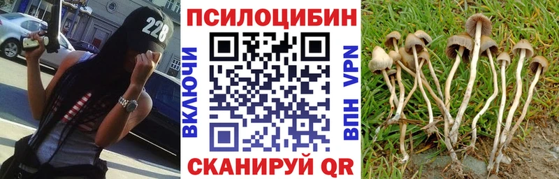 Галлюциногенные грибы прущие грибы  Кирс 
